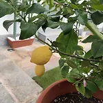 Pensjonat Celeste
