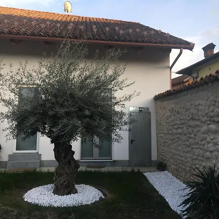Guest house Celeste *