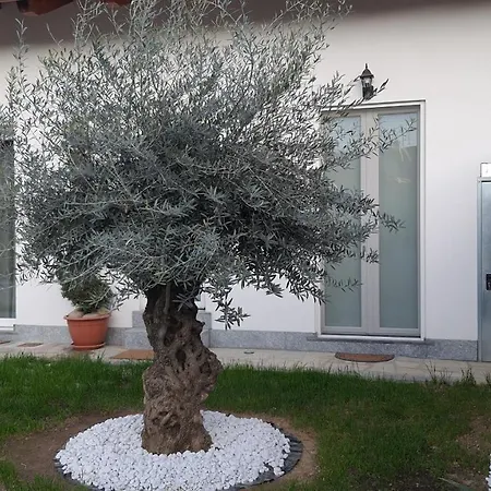 Guest house Celeste